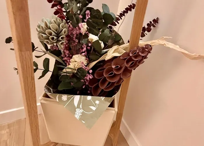 فيلة Allure تورجفيل